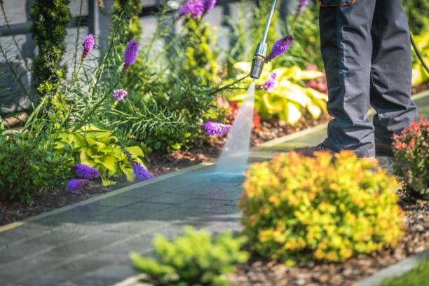 Best Animal Enclosure Cleaning  in Maurice, LA