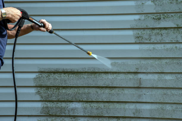 Best Driveway Pressure Washing  in Maurice, LA
