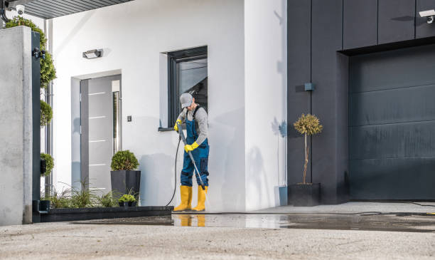Best House Exterior Washing  in Maurice, LA